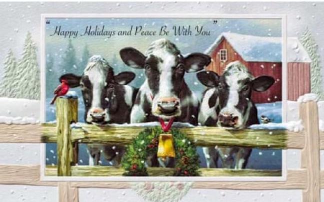 Comments on Christmas Holiday Cows - Cows Wallpaper ID 2335583 