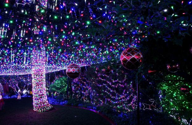 Download Live Christmas Lights Wallpaper Gallery