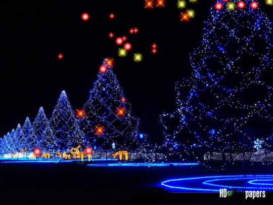 Download Free Live Christmas Wallpaper For Desktop Gallery