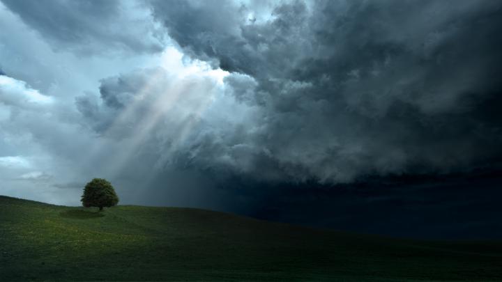 trees, Hill, Sun rays, Plains, Clouds Wallpapers HD \/ Desktop and 