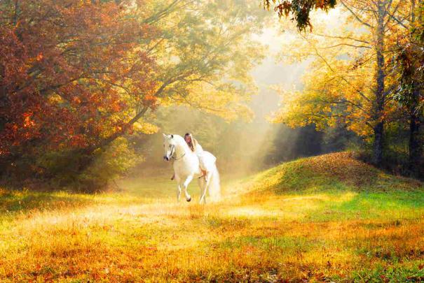 15 Most Romantic Autumn Desktop Wallpapers \u2013 Themes Company \u2013 Design 