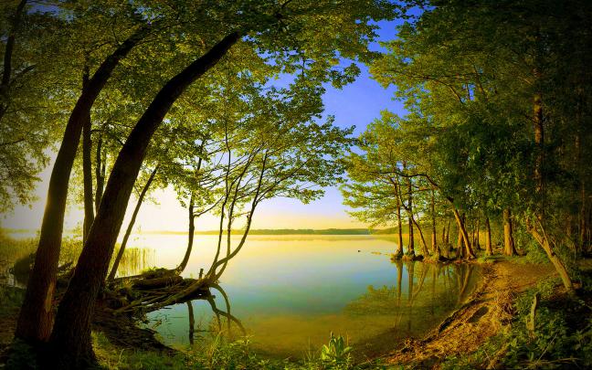 Nature Wallpaper 1600x900 \u00b7\u2460 