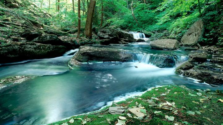 Nature Wallpaper and Nature Desktop Backgrounds | Space And The Wood