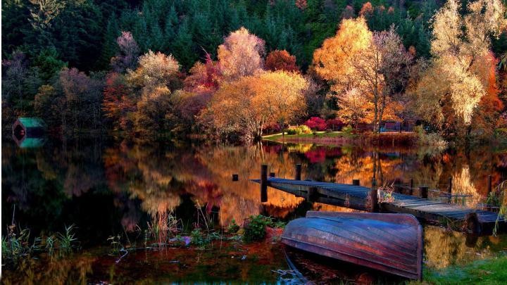 fall, Nature, Trees Wallpapers HD \/ Desktop and Mobile Backgrounds