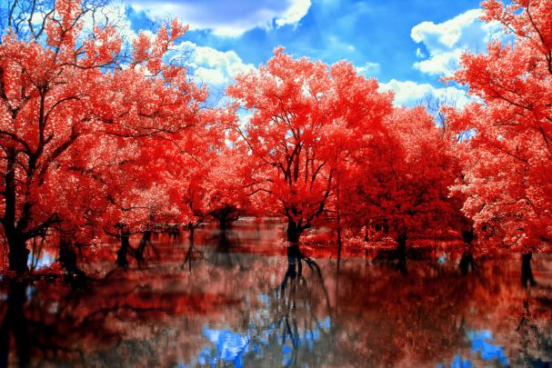 fall, Nature, Landscape Wallpapers HD \/ Desktop and Mobile Backgrounds