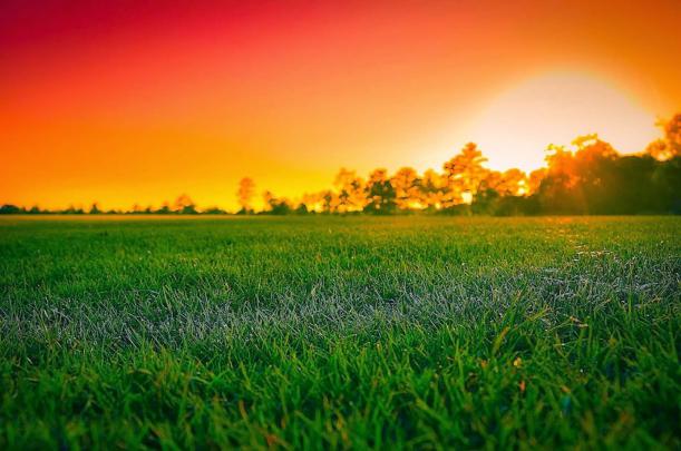 Nature Hd Desktop Wallpaper -