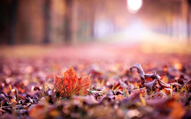 Download Full Screen FHD 1080p Desktop Backgrounds For PC Mac Wallpaper 