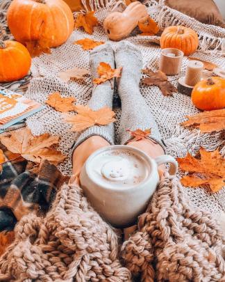 Cozy Autumn HD Wallpapers