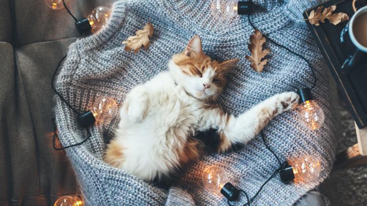 Cozy Winter Wallpaper (64+ images)