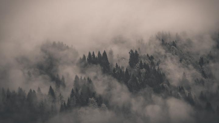 Cozy Wallpaper (54+ images)