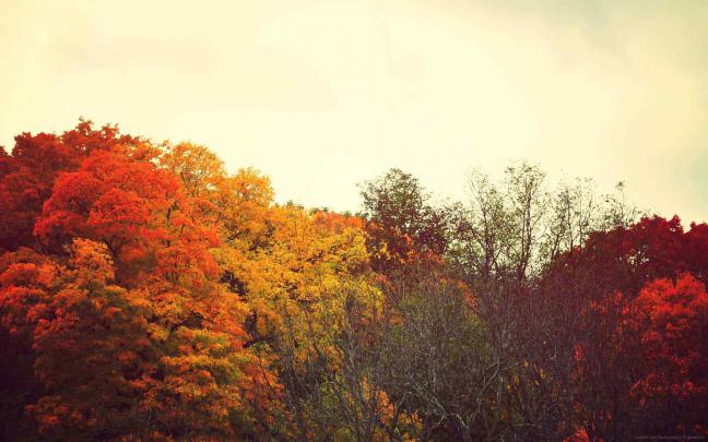 12+ Cozy Autumn Aesthetic Desktop Wallpaper - Basty Wallpaper