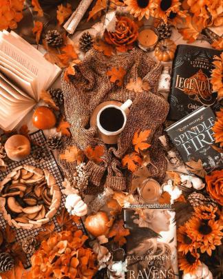 Cozy HD Autumn Wallpapers