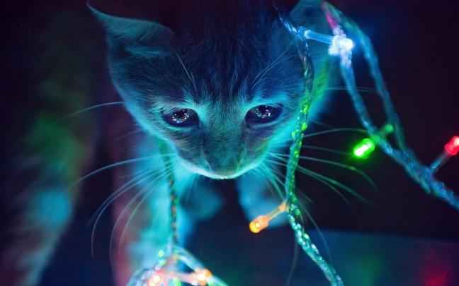 [48+] 3D Cute Wallpapers for Desktop 