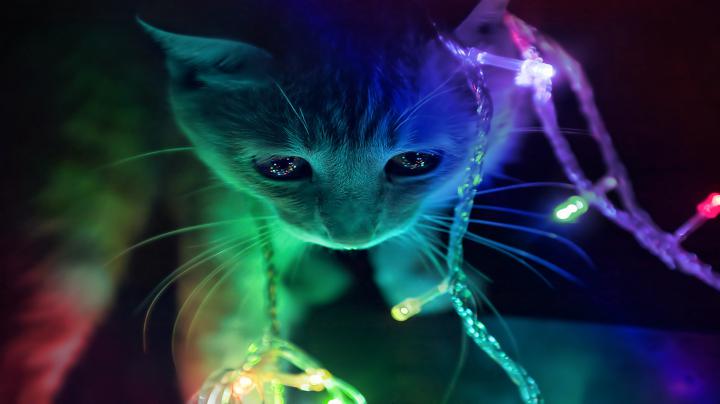 [47+] 3D Cute Wallpapers 