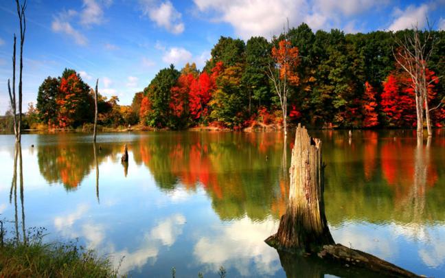 Cute Autumn Free Desktop Wallpaper -