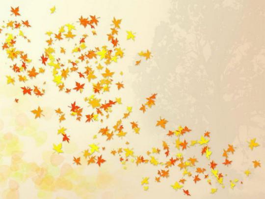 Cute Fall Wallpapers