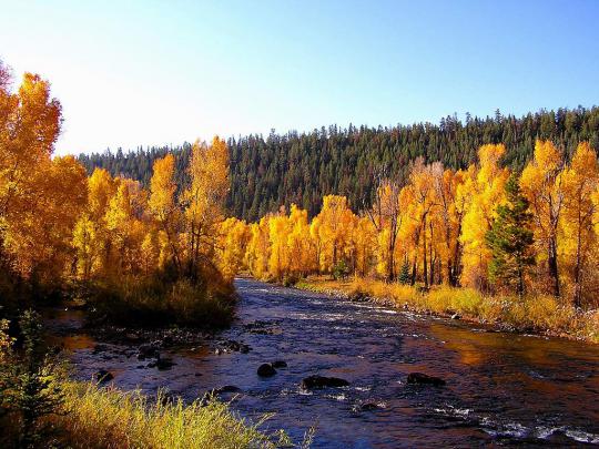 Cute Autumn Free Desktop Wallpaper -
