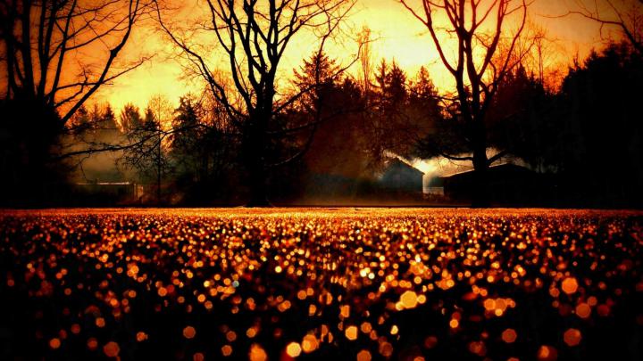 Fall Desktops Wallpapers (71+ background pictures)