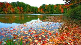 Cute Autumn Desktop Wallpaper