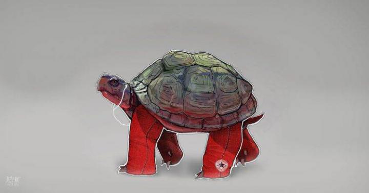IPod Turtles Converse Hipster Hip Backgrounds Apples Tortoise 
