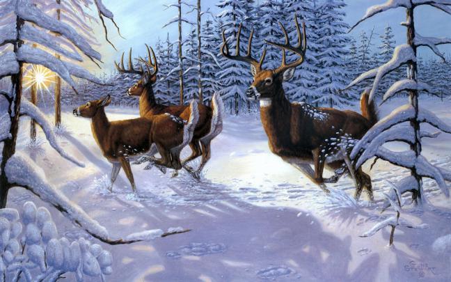 Deer Desktop Wallpaper (73+ images)