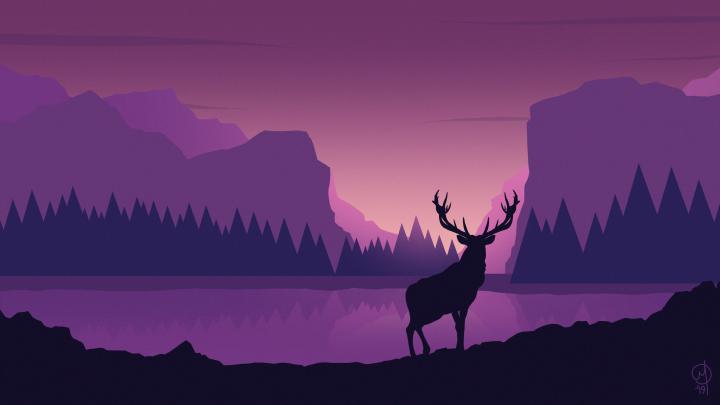 Deer 4K wallpapers for your desktop or mobile screen free and easy to 