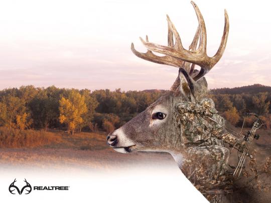 Realtree Deer Wallpaper \u00b7\u2460 