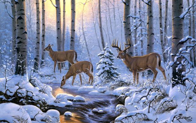 Deer Desktop Wallpapers