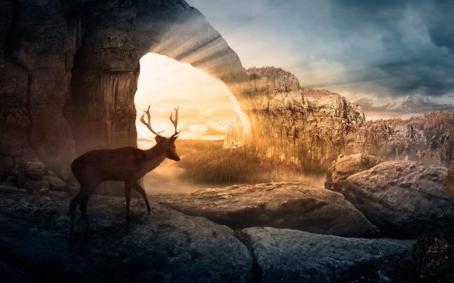 Deer Hunting Wallpaper for Computer (57+ images)