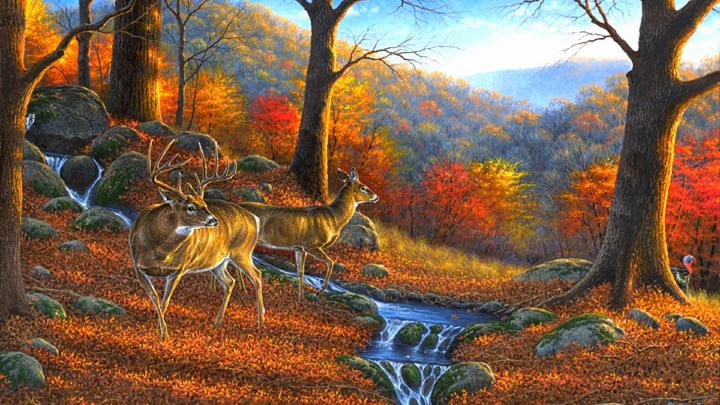 Deer Desktop Backgrounds (59+ images)