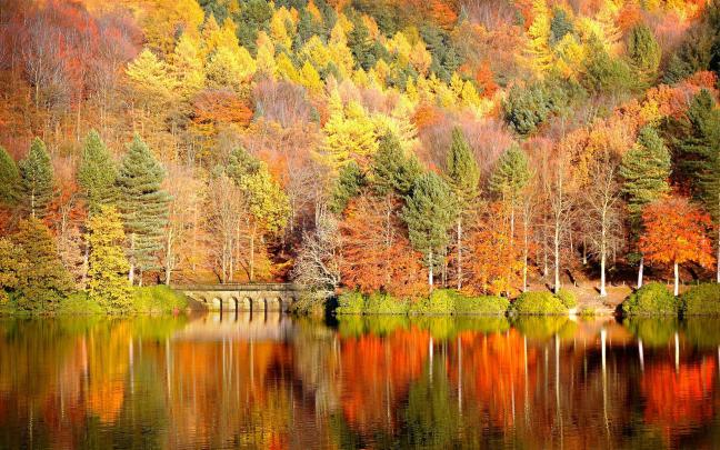 Free Fall Backgrounds Desktop