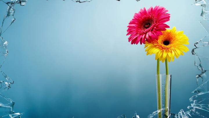 Desktop Hd Wallpapers For Windows 10 - 1920x1080 - Download HD 