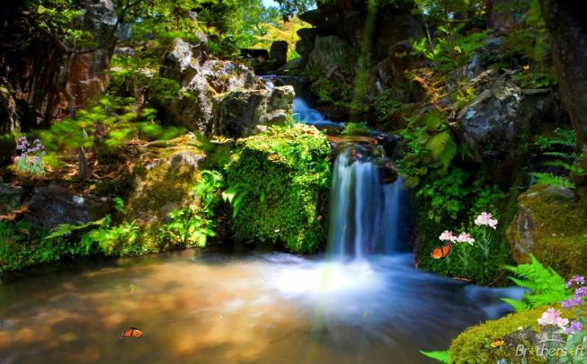 Free download Desktop hd fish aquarium live wallpaper Download 3d HD 