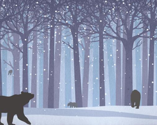 Free download Widescreen Wallpapers Winter Window 1920 X 1200 669 Kb 