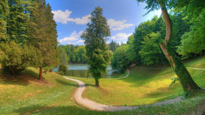 Free download Woodland path windows 8 desktop HD wallpapers 1920x1080 