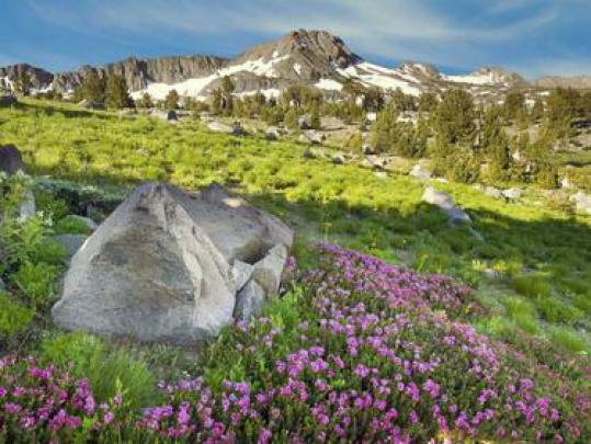 Free download Best Desktop HD Wallpaper Spring Wallpapers [1600x1200 