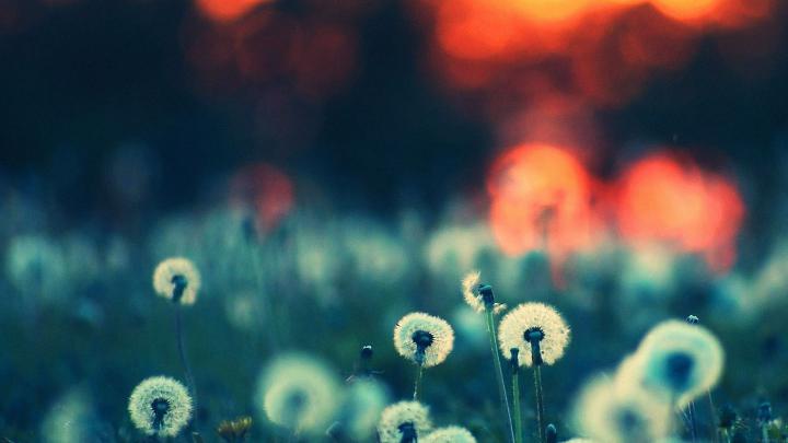 iMac Wallpaper 21.5 HD -