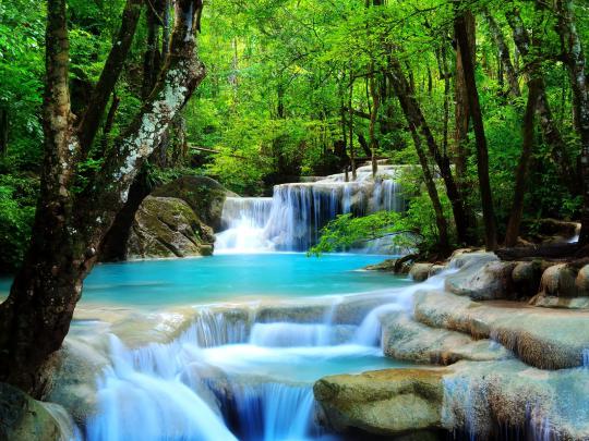 [50+] Beautiful Live Wallpapers for Desktop 