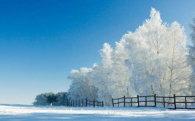 snow wallpaper live - HD Desktop Wallpapers