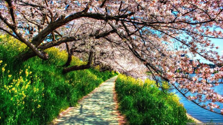 Spring Nature Wallpapers
