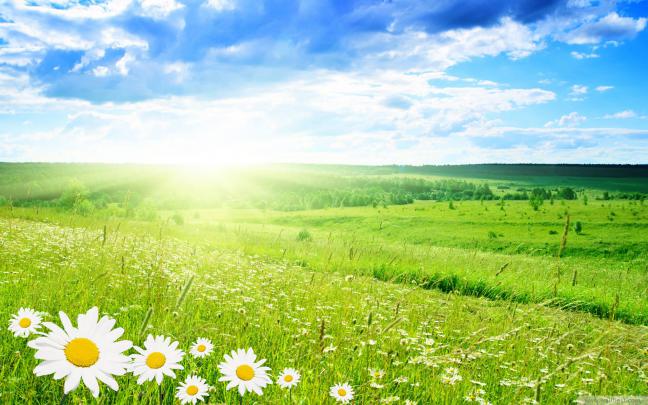 Spring Nature Wallpapers