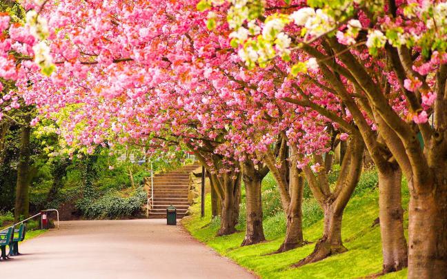 Spring Nature Wallpapers