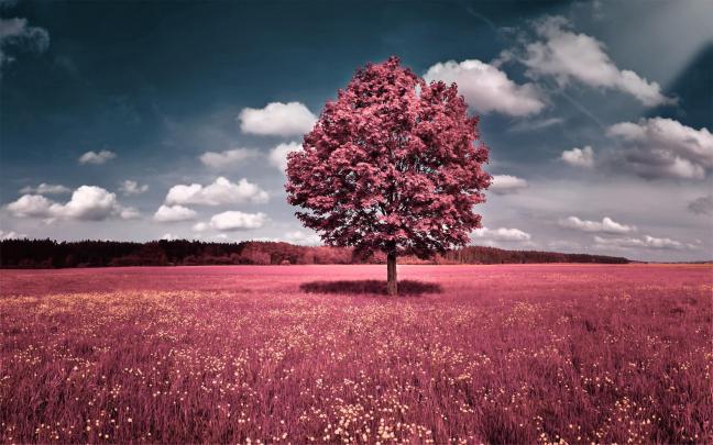 Spring Nature Wallpaper - KoLPaPer - Awesome Free HD Wallpapers