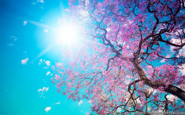 Spring Nature Wallpapers \u00b7\u2460 