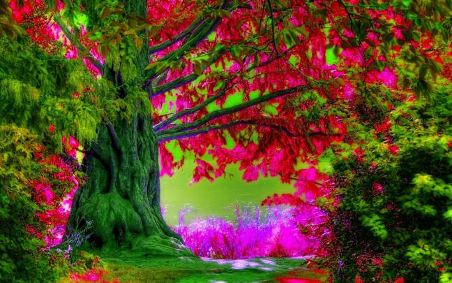 Desktop Wallpaper Spring Scenes \u00b7\u2460 