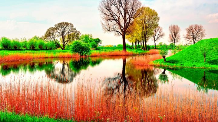 22+ Spring Nature Wallpapers, Backgrounds, Images | FreeCreatives