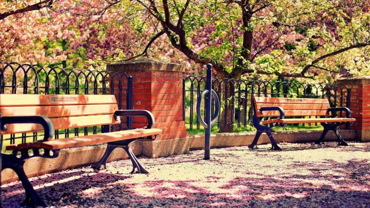 Spring Nature Wallpapers
