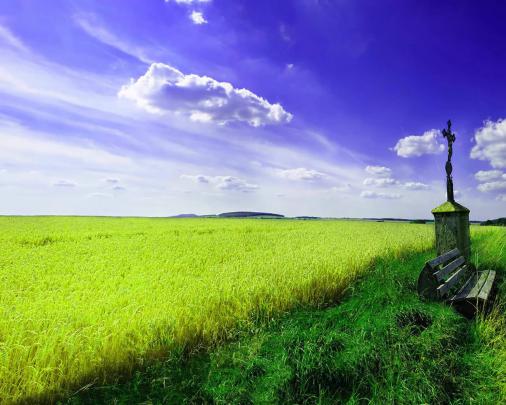 [45+] Spring Nature Scenes Wallpaper 