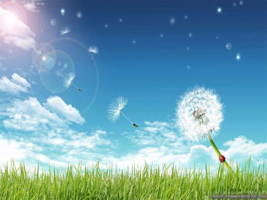 Spring Nature Wallpapers