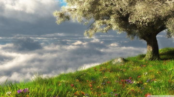 Desktop Wallpaper Spring Scenes (74+ images)
